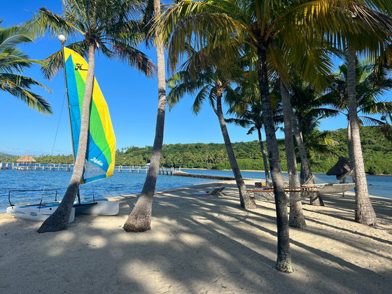White sand beach and turquoise waters of Dolphin Island