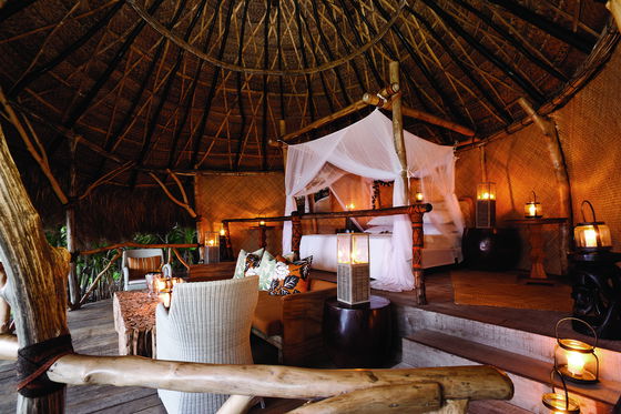 Hilltop sleep-out with a canopy bed overlooking tropical ocean at Dolphin Island