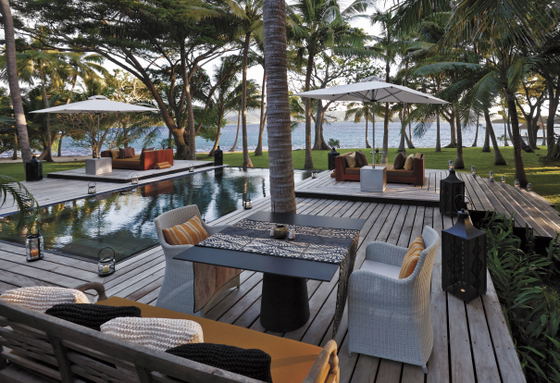 Infinity pool bordered by palm trees and ocean views at Dolphin Island