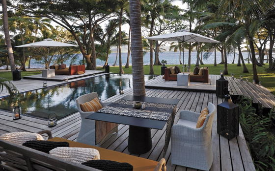 Infinity pool bordered by palm trees and ocean views at Dolphin Island