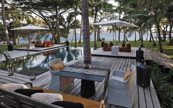 Infinity pool bordered by palm trees and ocean views at Dolphin Island