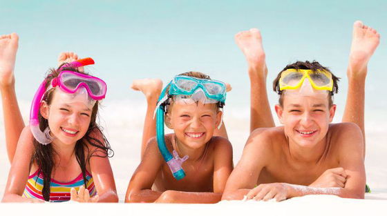 Dolphin Island offers family friendly activities and experiences in Fiji