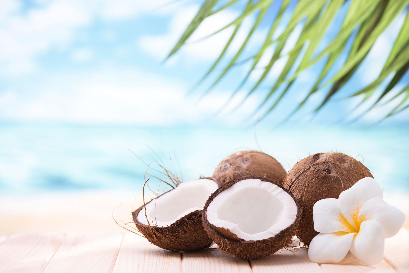 Wellness Surrounded by the Sea