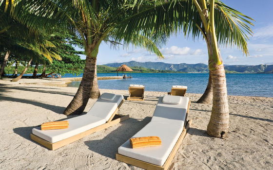 Moveable sun loungers shaded by palm trees on Dolphin Island beach