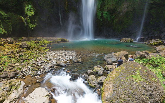 Secluded waterfall surrounded by tropical plants at Dolphin Island