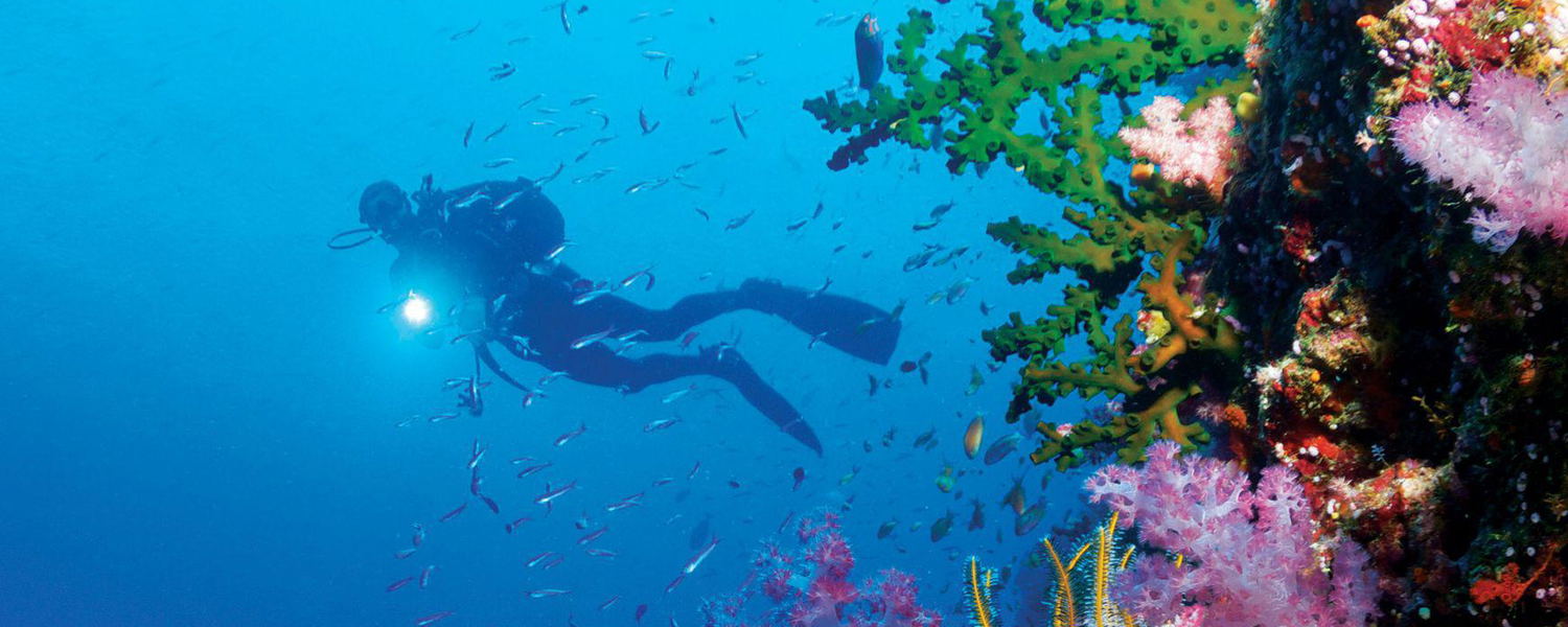 Diver exploring coral reefs in clear waters around Dolphin Island