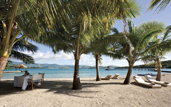 White-sand beach and turquoise ocean, with tropical palm trees