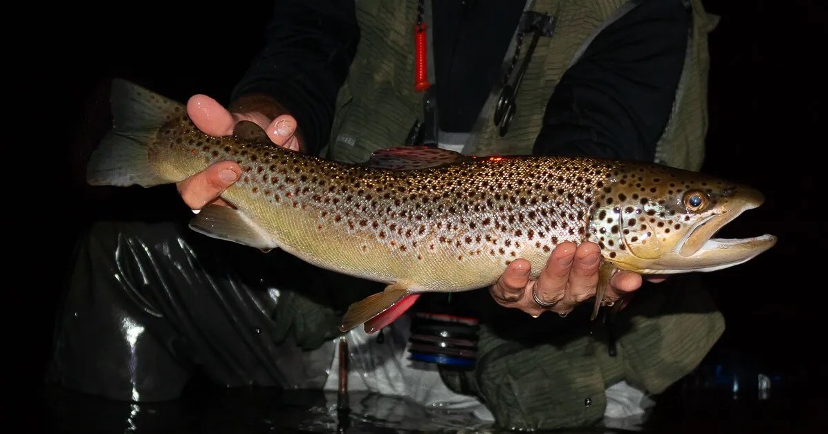 Night Fly Fishing - Valley of the Rainbow Fly Fishing Estate and ...