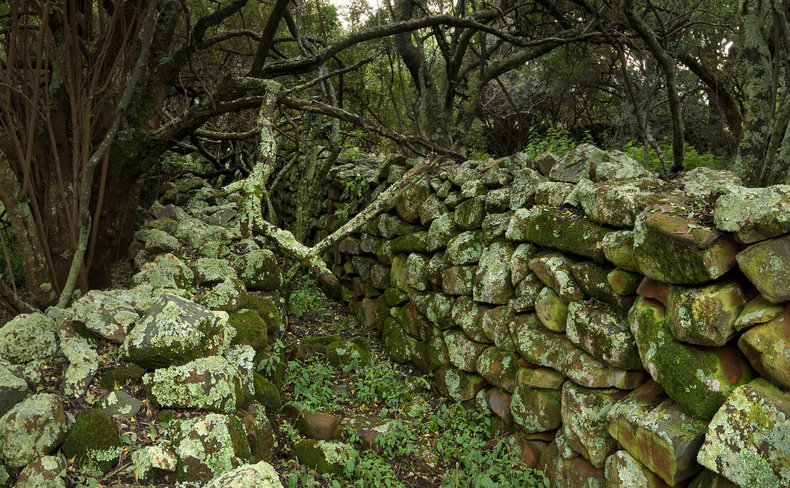 Bokoni stone structures