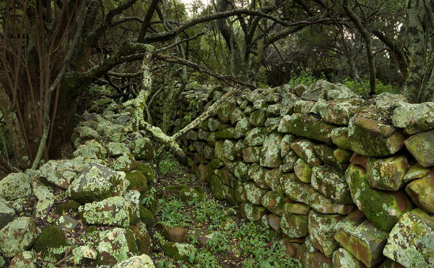Bokoni stone structures