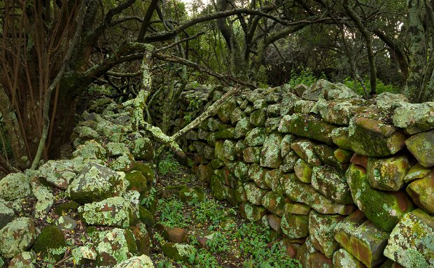 Bokoni stone structures