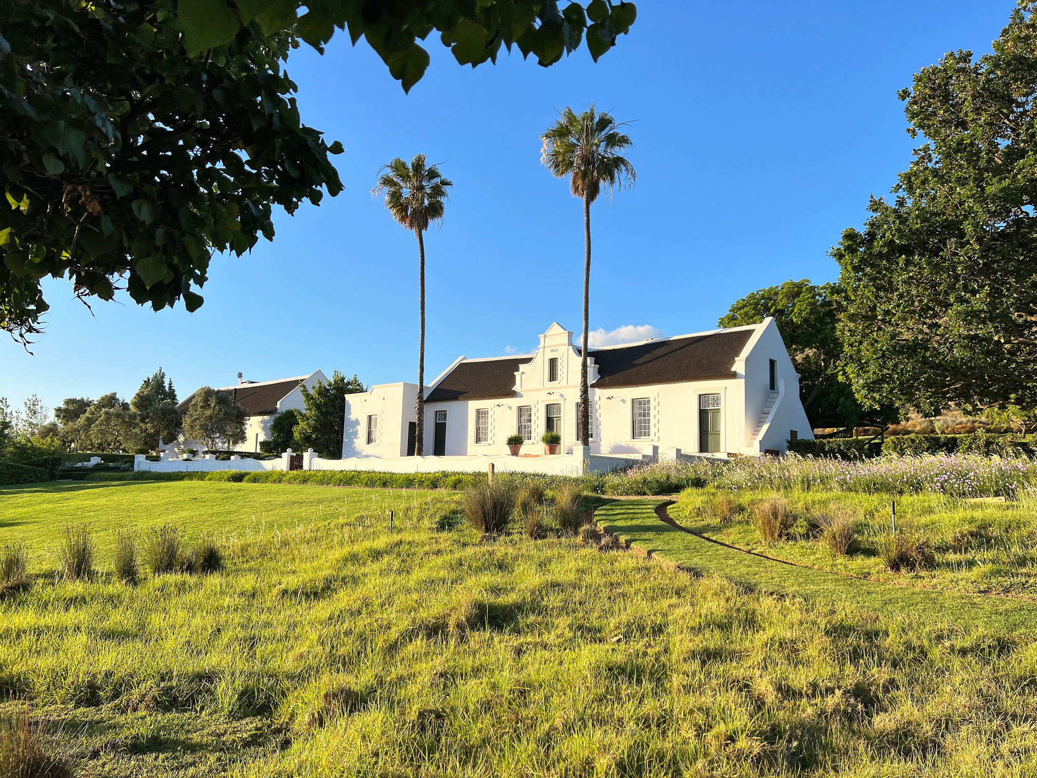 Cape winelands villa