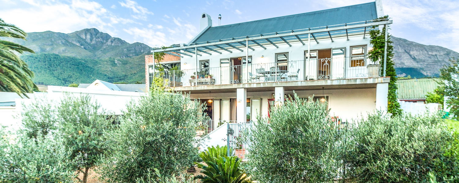 winelands villa south africa franschhoek