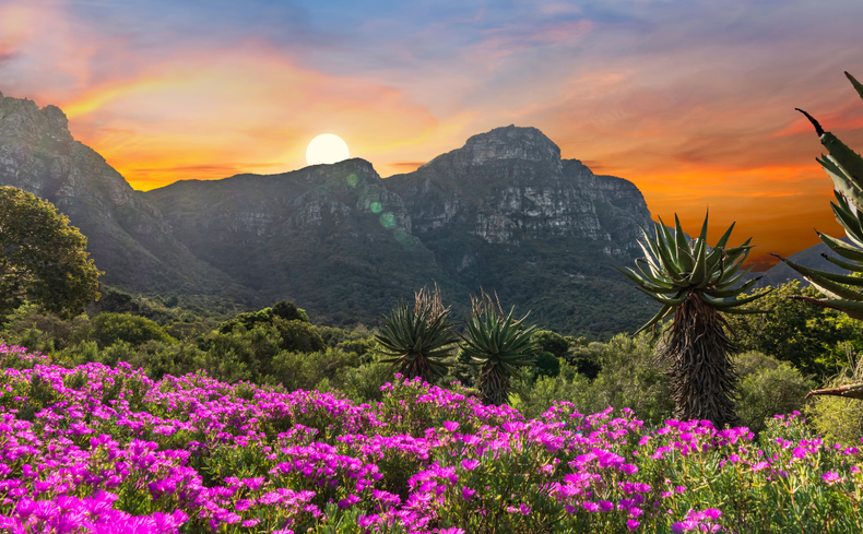 Sun over the mountains at Kirstenbosch Botanical Gardens Sun over the mountains at Kirstenbosch Botanical Gardens