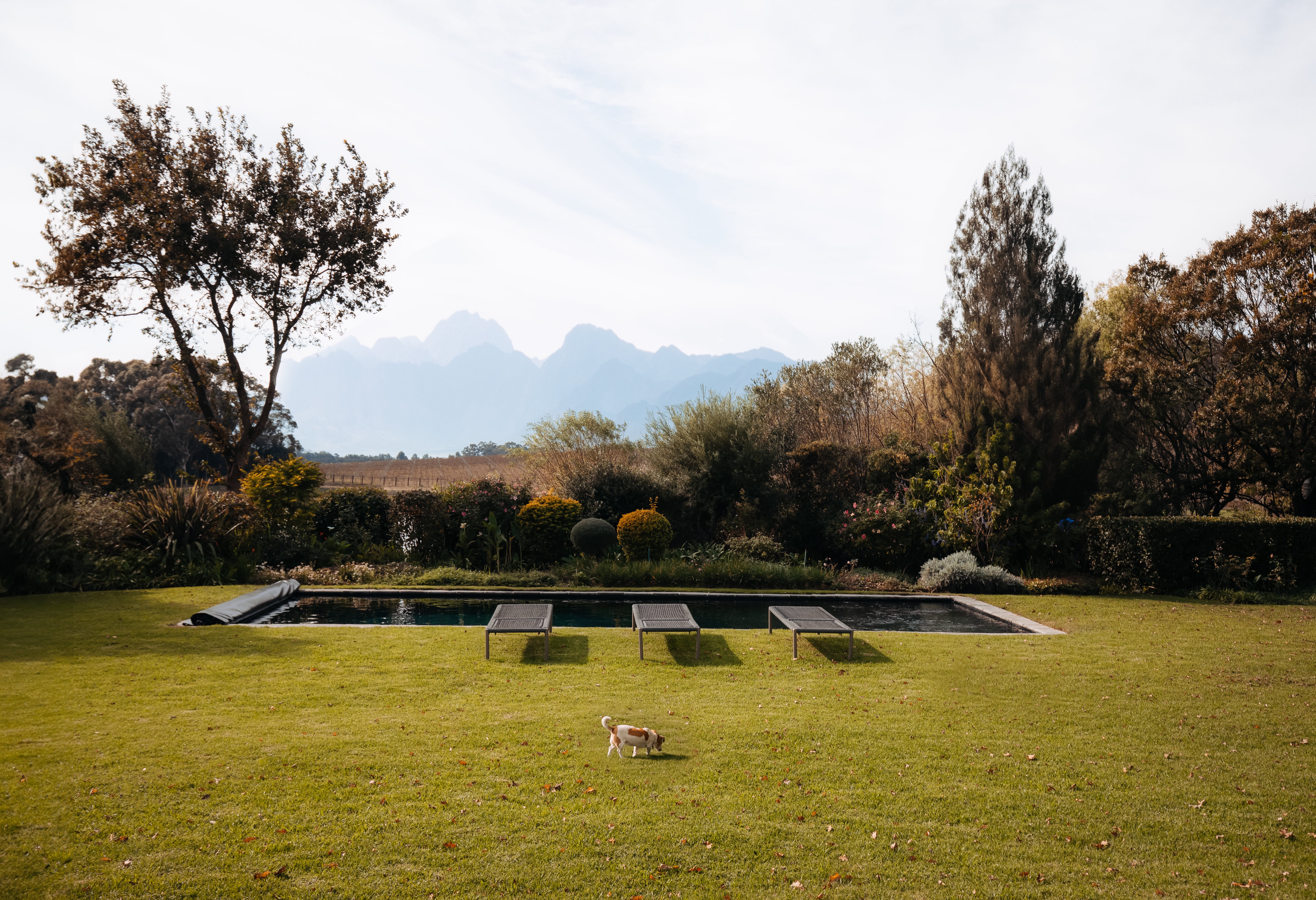 Family Holiday Home in the Winelands