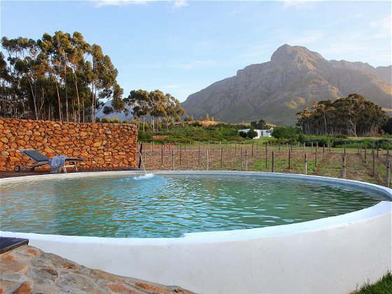Pool views over vineyard