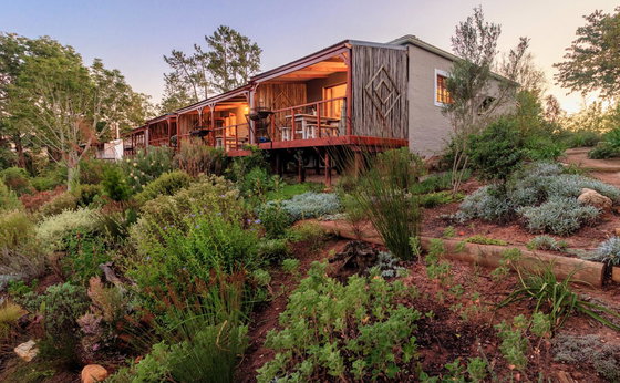 Knysna: 25% OFF 20 July - 31 August 2026