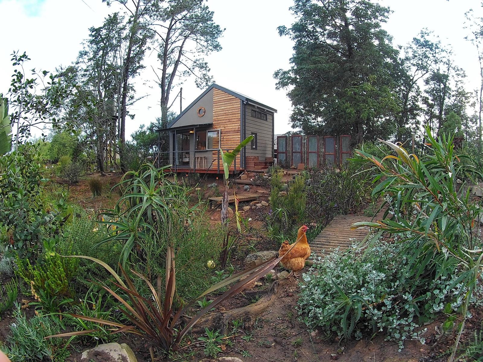 tiny house, cabin, cottage, romantic, forest, indigenous, Knysna