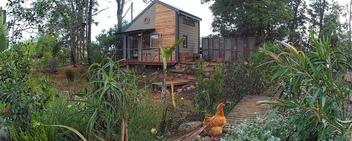 tiny house, cabin, cottage, romantic, forest, indigenous, Knysna