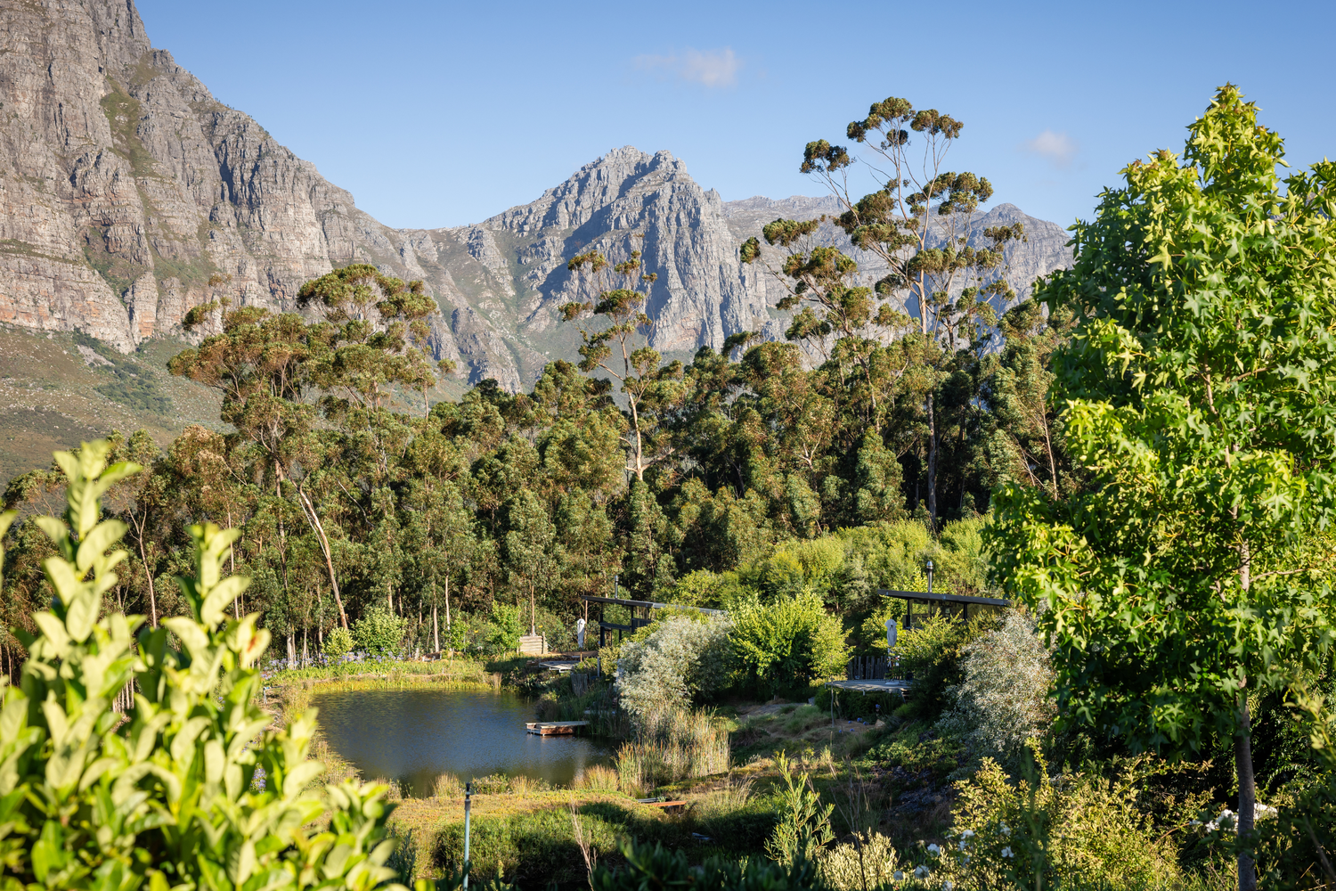 Unique accommodation South Africa
