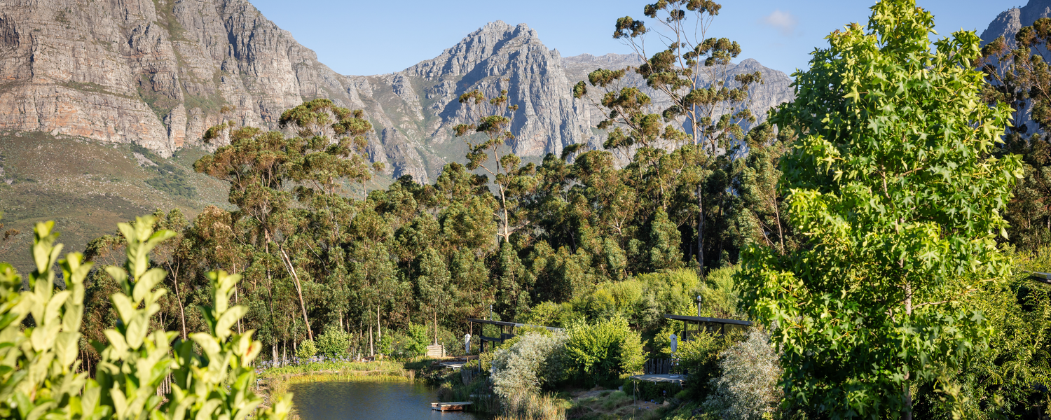 Unique accommodation South Africa