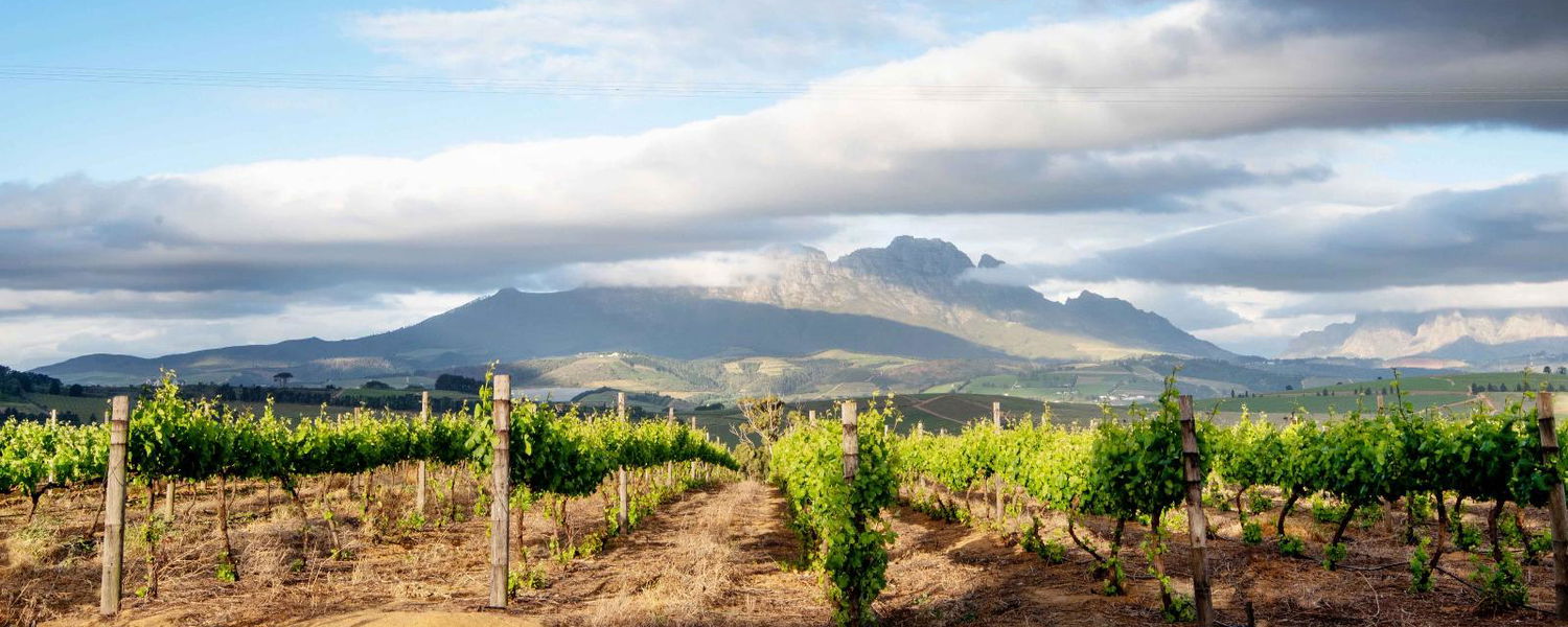 cabin in the winelands