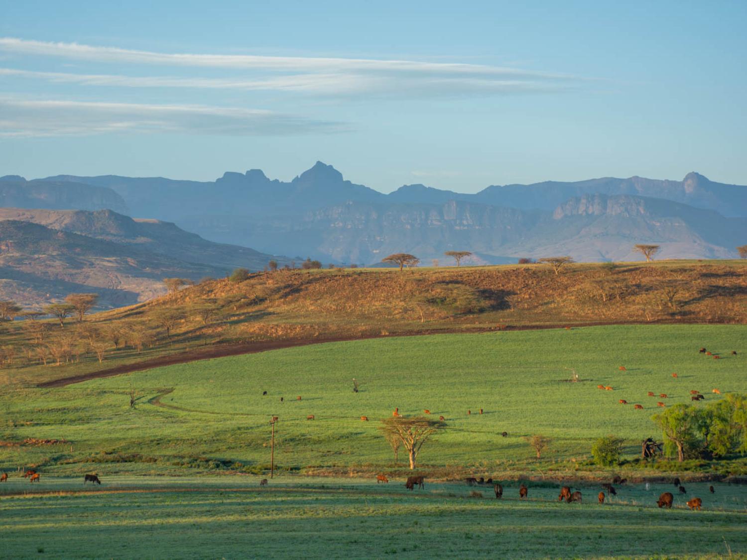 Drakensberg