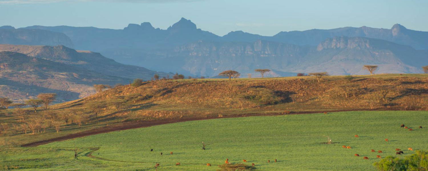 Drakensberg