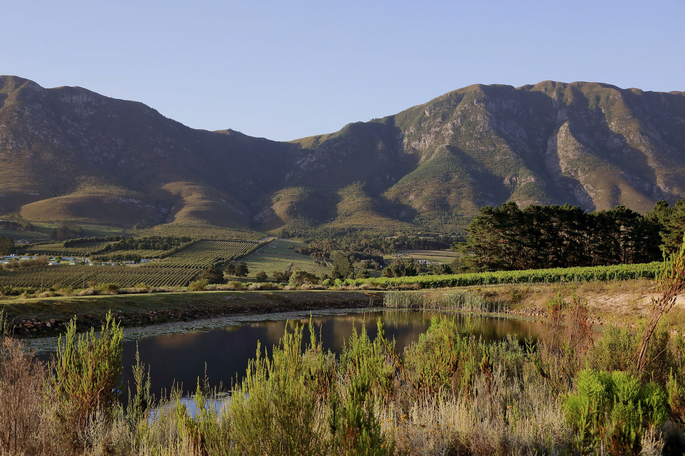 Villa in the Hemel-en-Aarde Valley