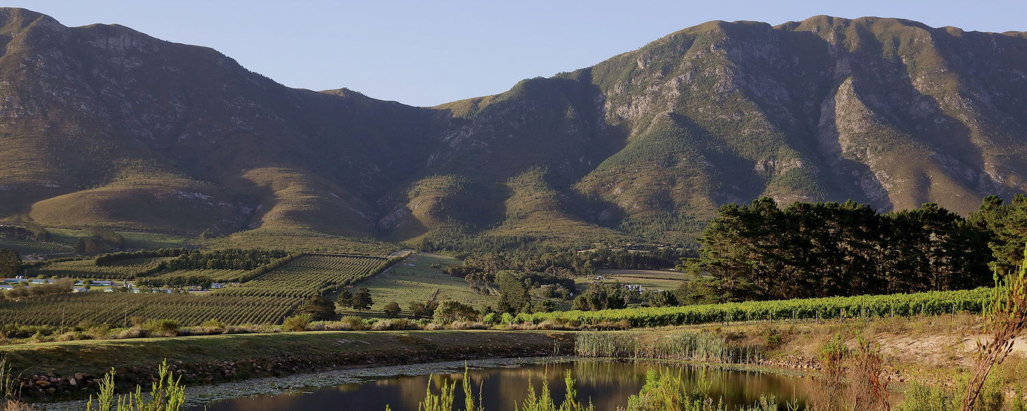 Villa in the Hemel-en-Aarde Valley