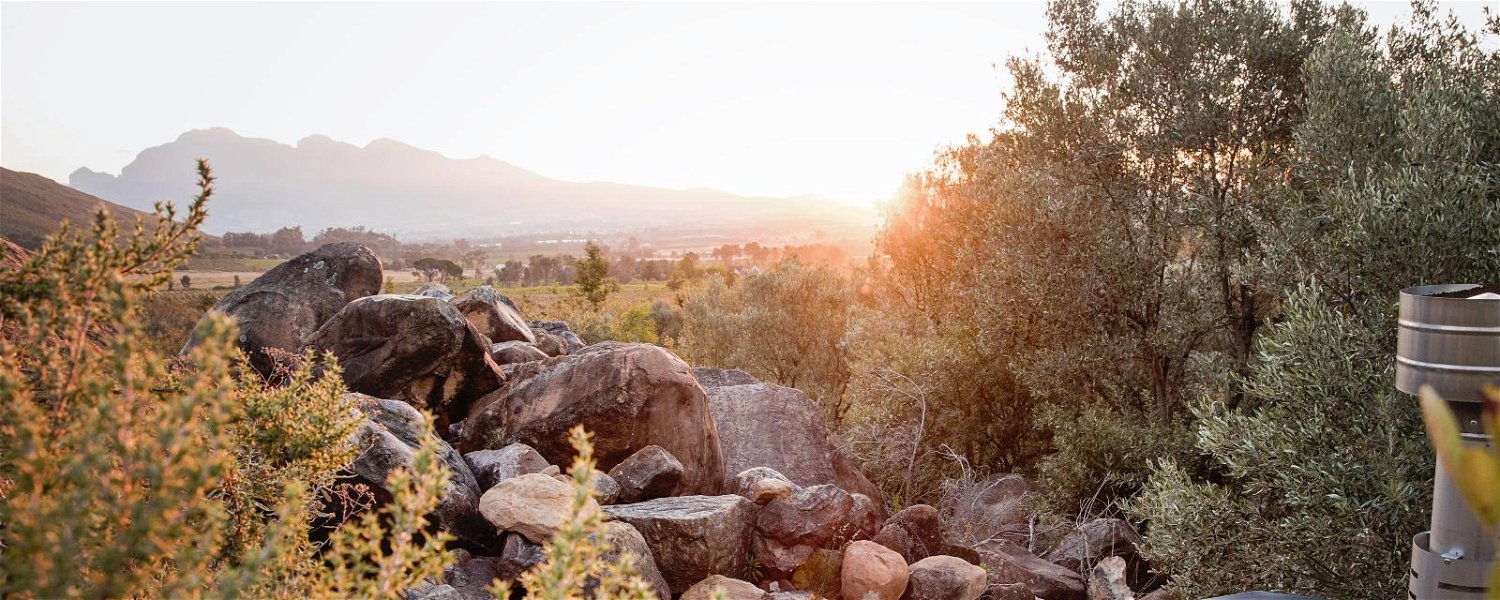 Romantic Getaway in the winelands