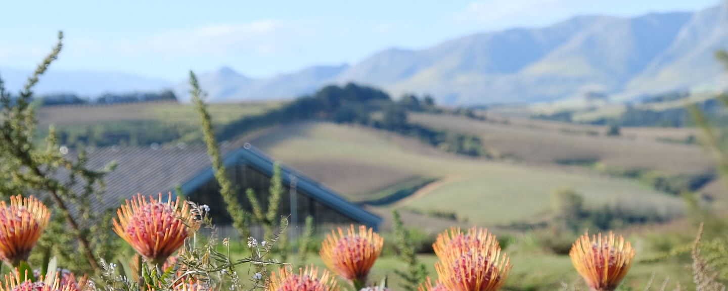 Libertas House, family getaway, nature escape