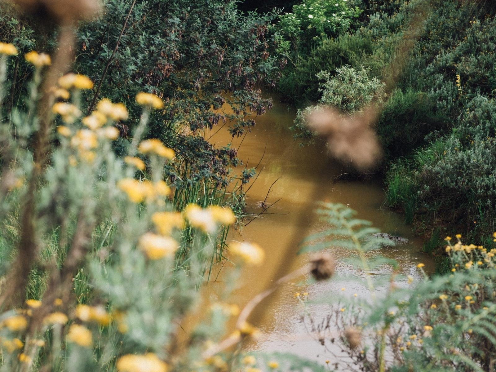 Nature Escape