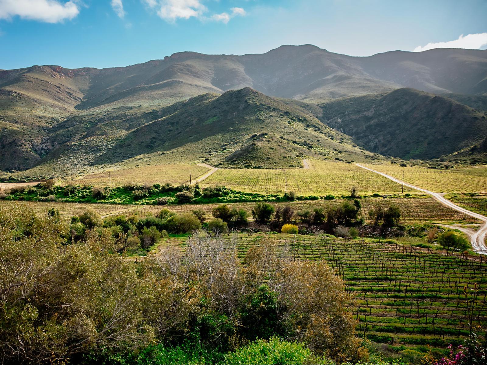 Glamping Montagu, glamping western cape