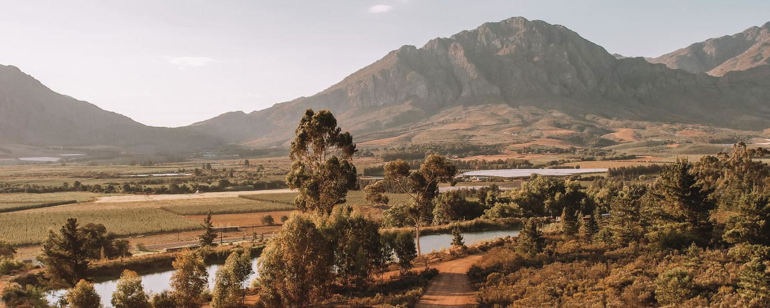 Tulbagh Cabin