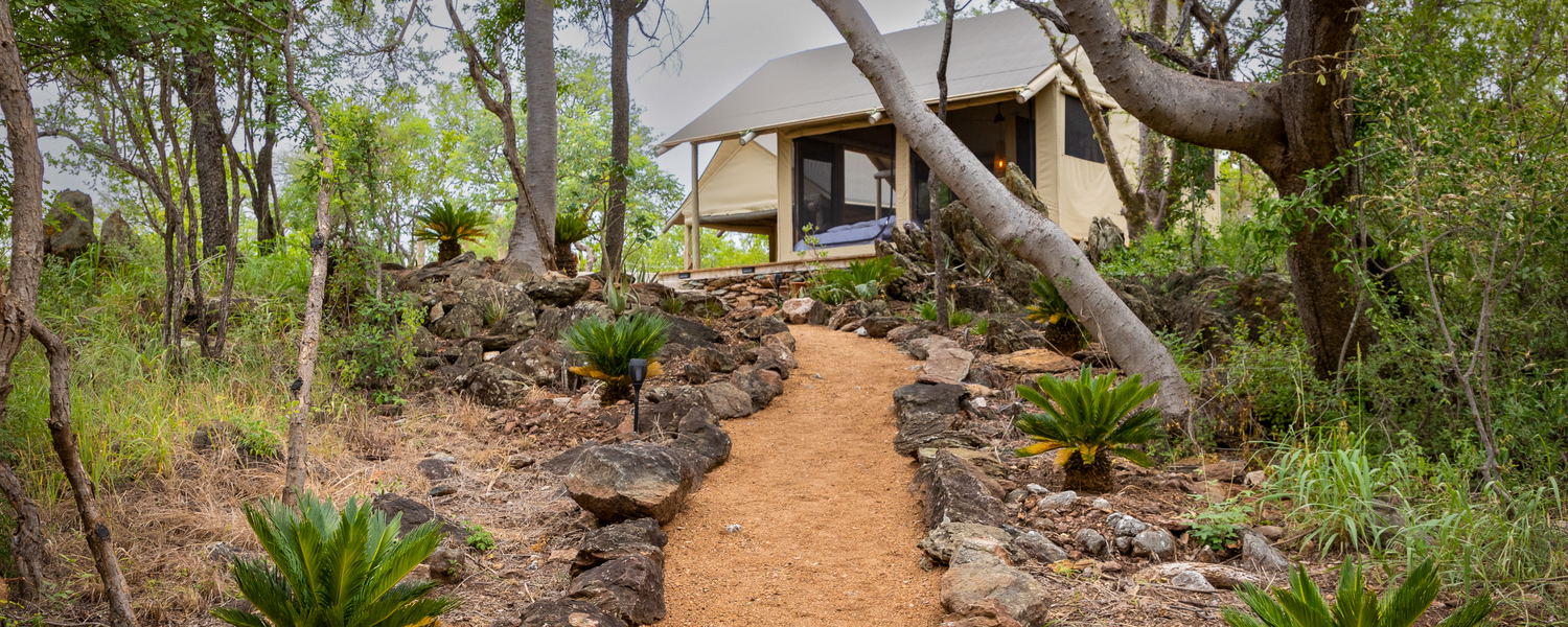 Luxury Tent