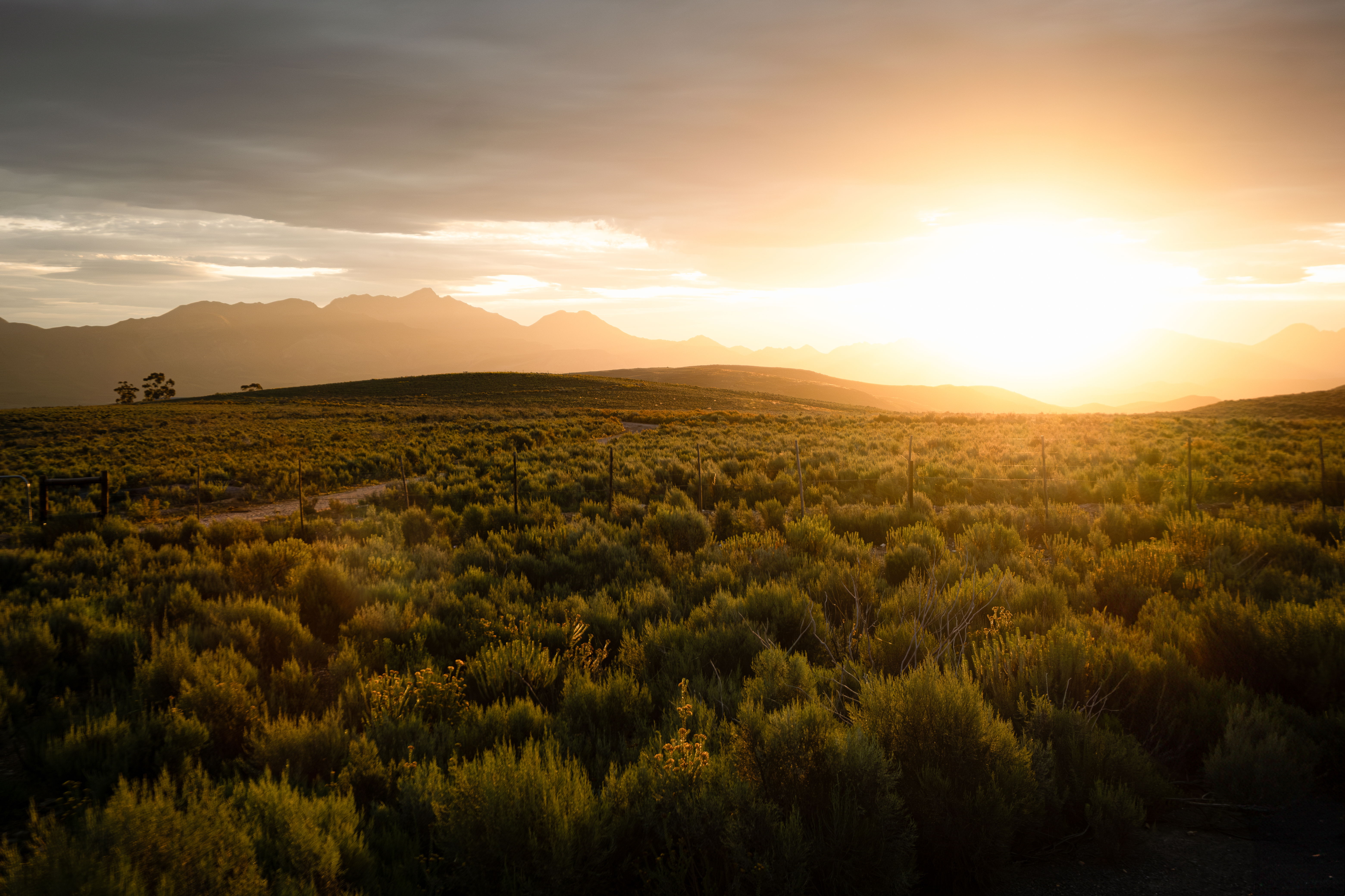 Klein Karoo Couples Accommodation