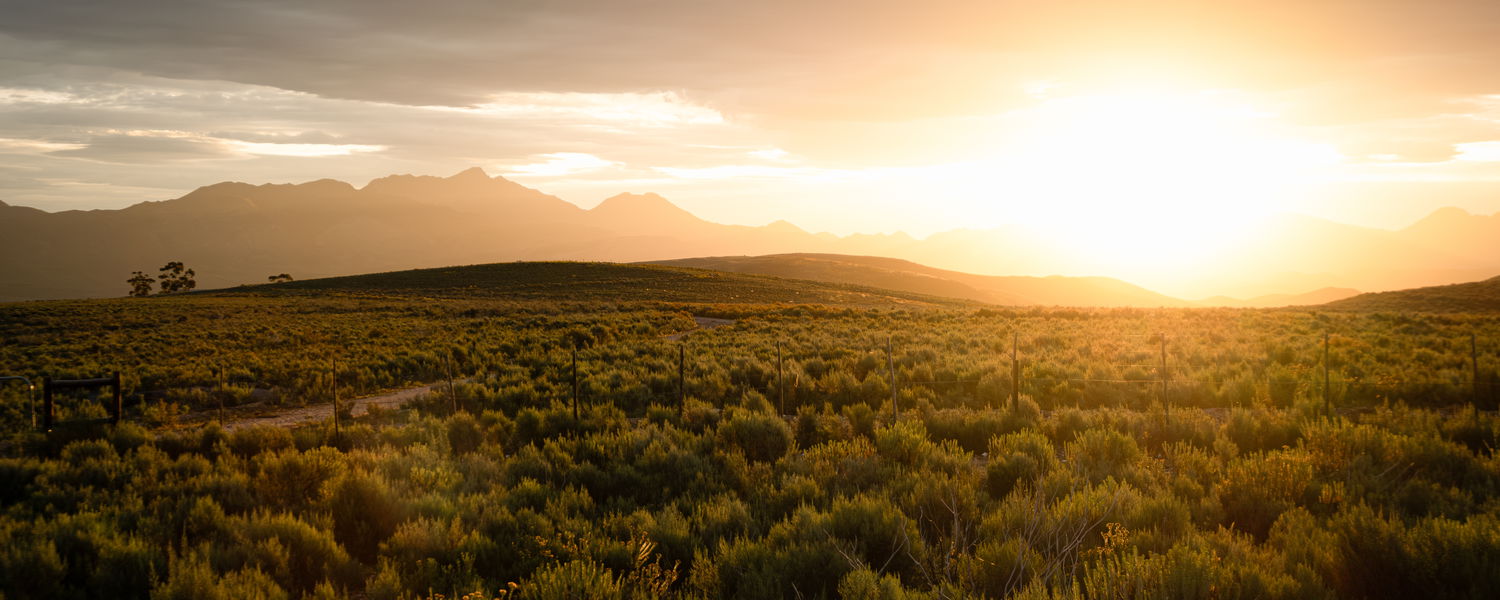 Klein Karoo Couples Accommodation