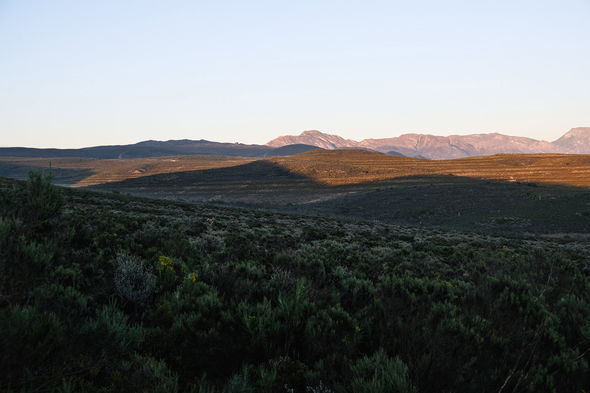 Romantic Eco Cabin near Bonnievale
