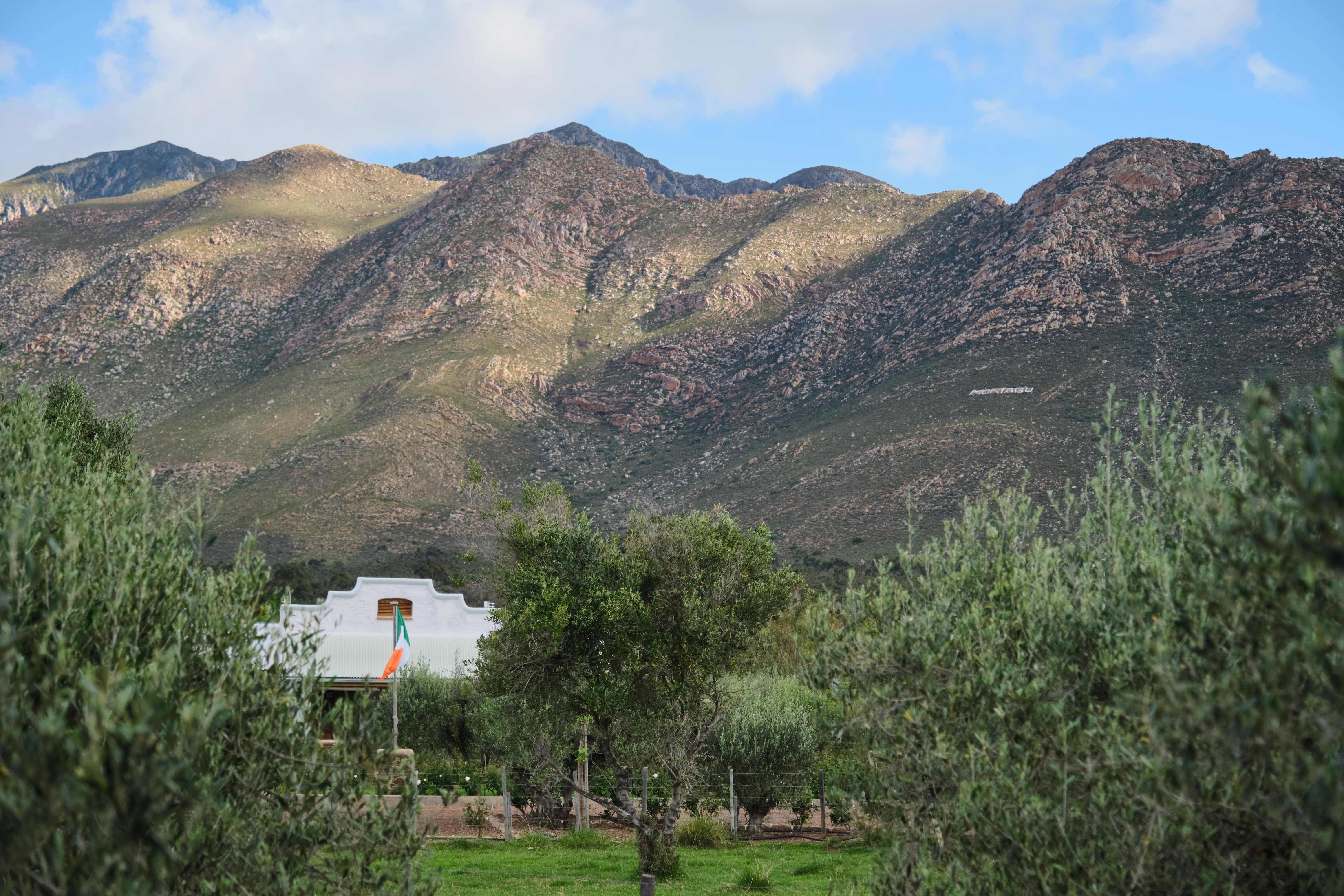 Montagu Accommodation
