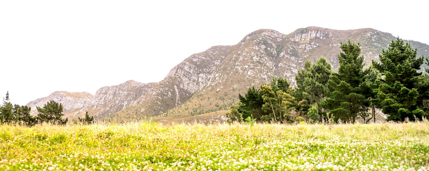 Hermanus