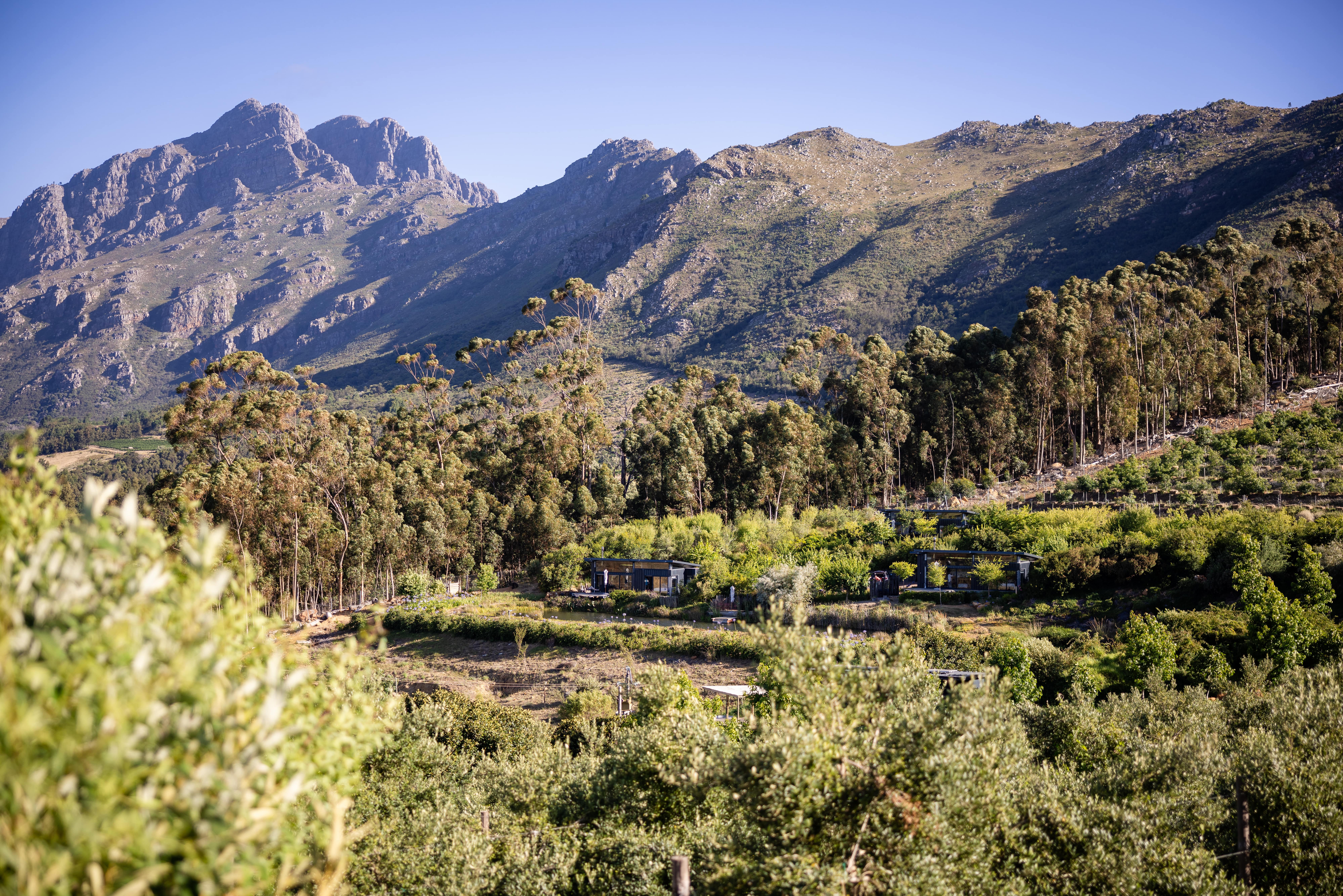 Cabin near Stellenbosch