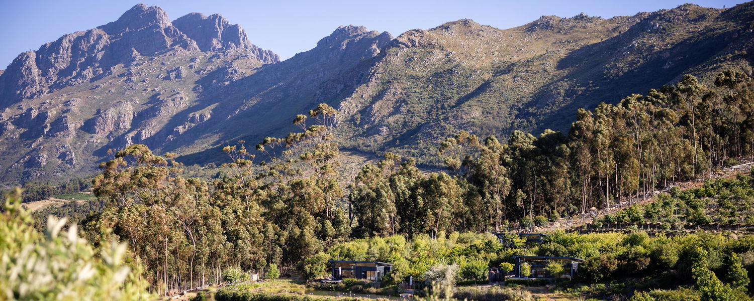 Cabin near Stellenbosch