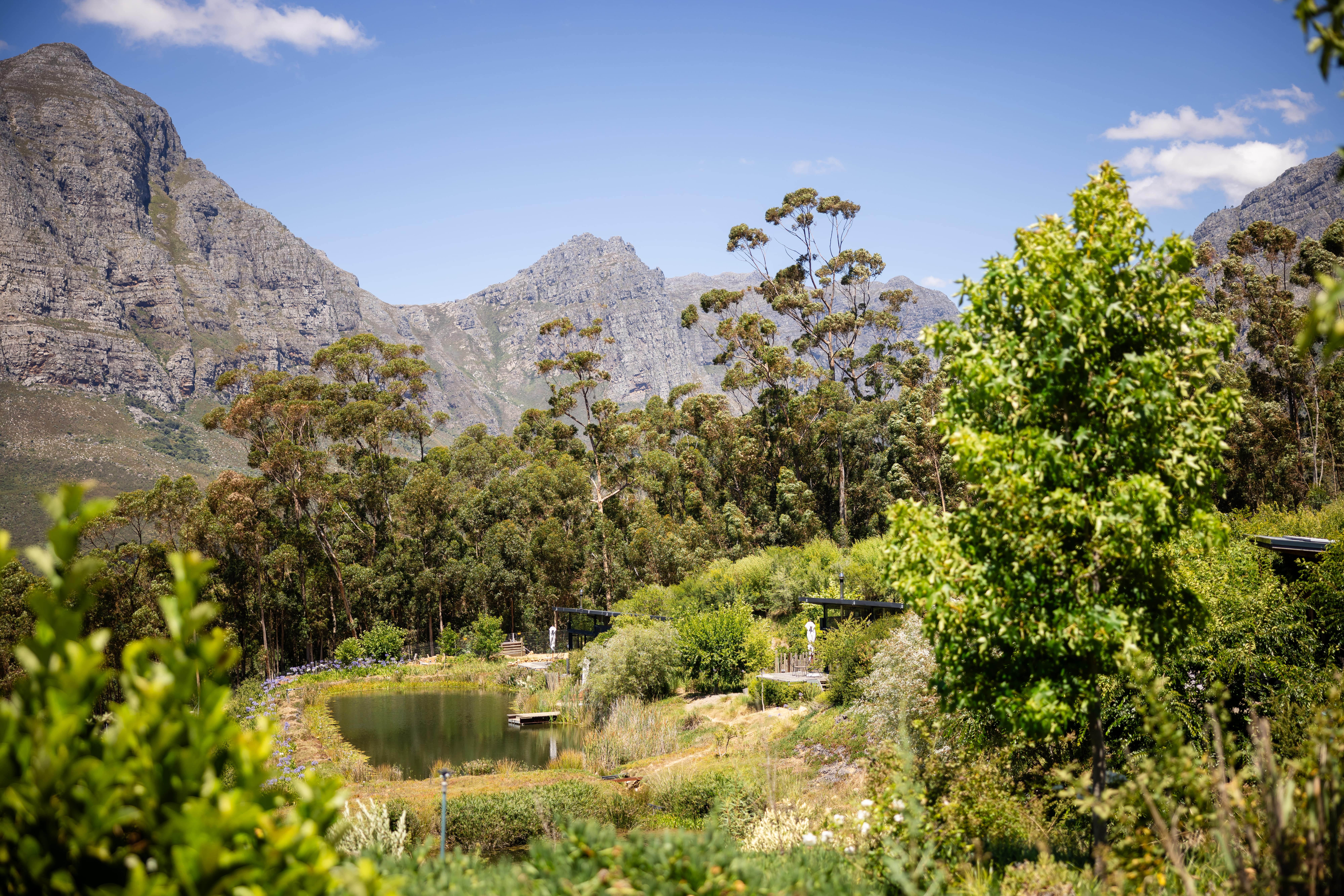 Cabins in Stellenbosch