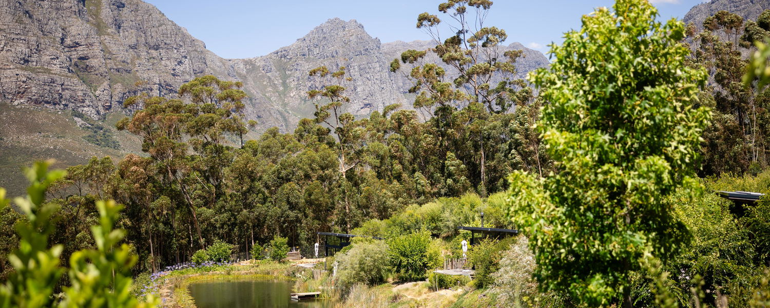 Cabins in Stellenbosch