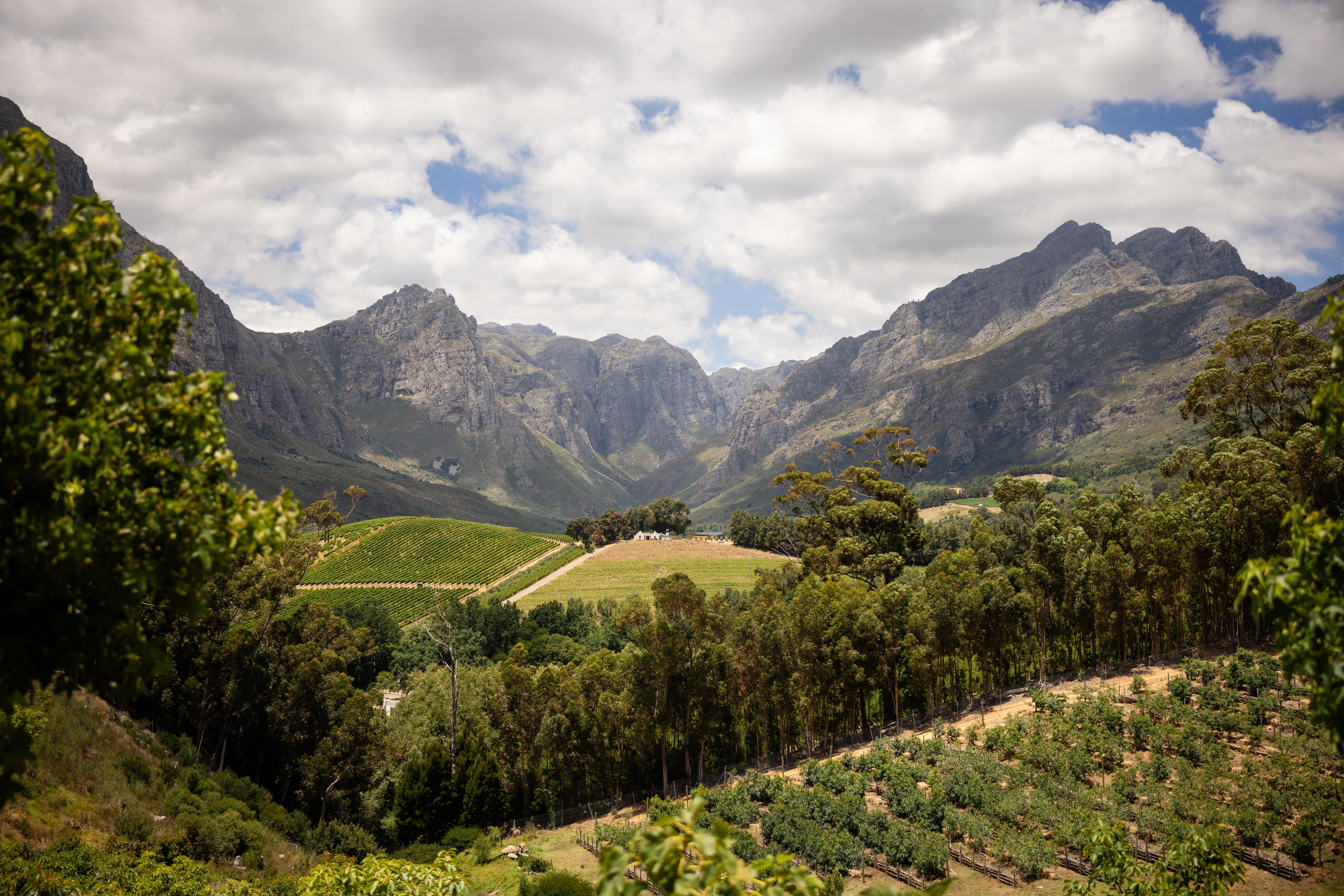 Cabin near Stellenbosch