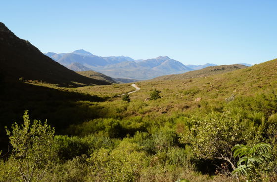 Mountain Escape