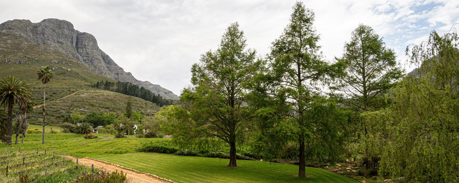 Self-Catering Apartment near Stellenbsoch