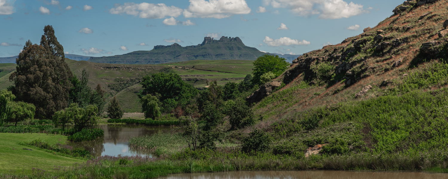 Underberg