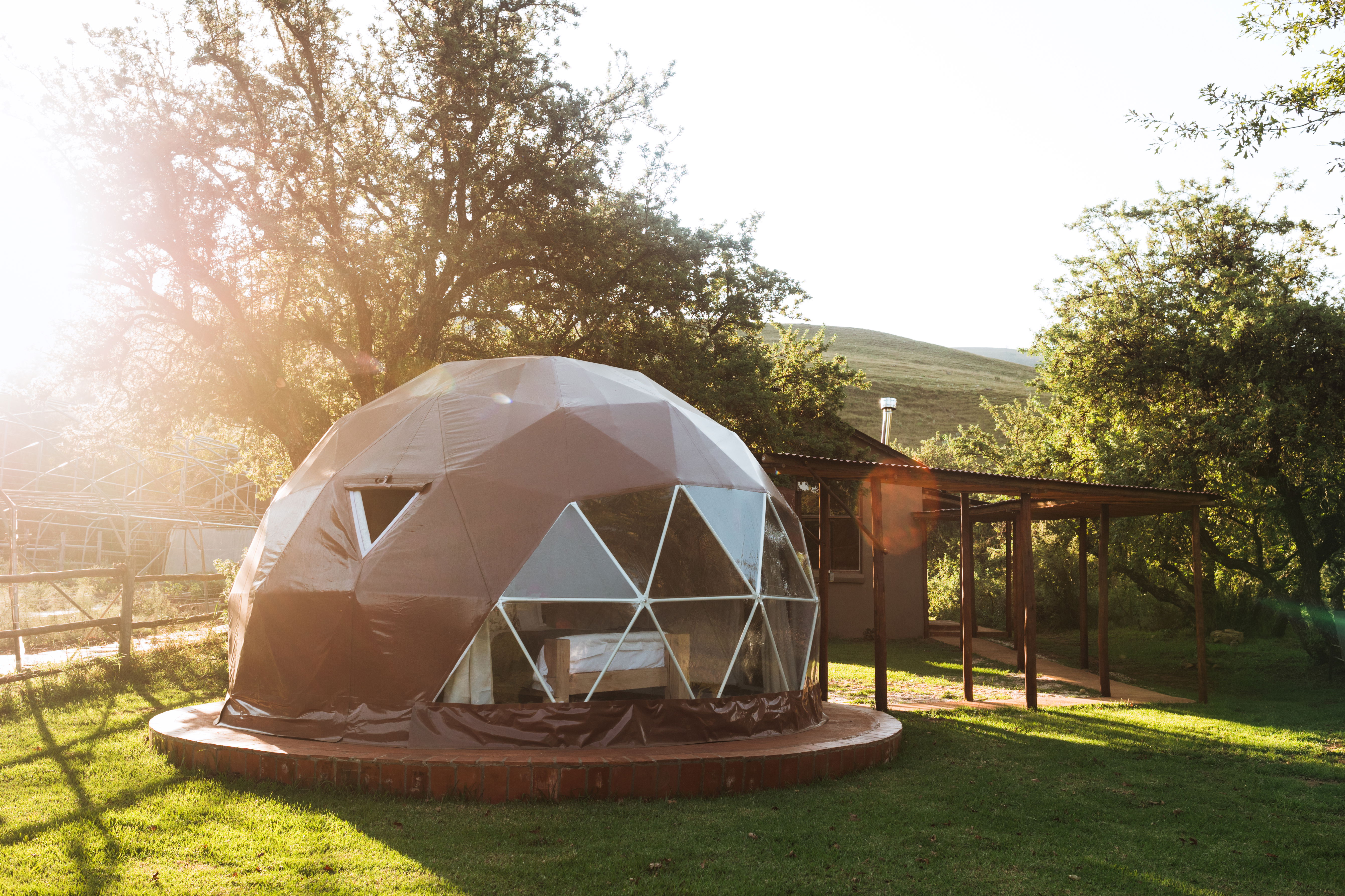 Oldwood Dome - Mpumalanga | Lifetree Collection